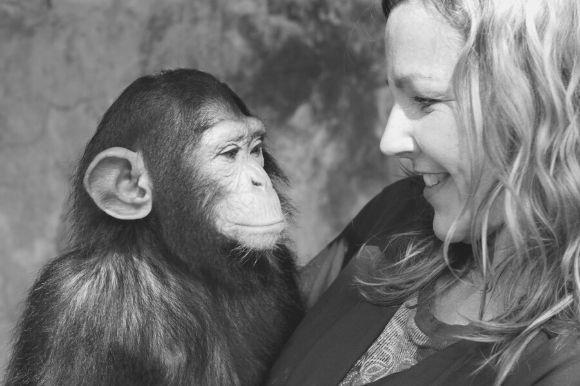 Closeup of a zoologist holding a baby chimpanzee and smiling.